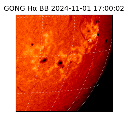 gong - 2024-11-01T17:00:02