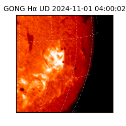 gong - 2024-11-01T04:00:02