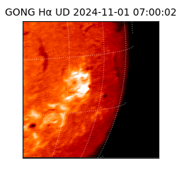 gong - 2024-11-01T07:00:02