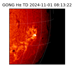 gong - 2024-11-01T08:13:22