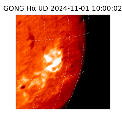 gong - 2024-11-01T10:00:02
