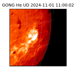 gong - 2024-11-01T11:00:02