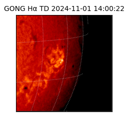 gong - 2024-11-01T14:00:22