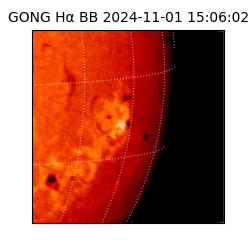 gong - 2024-11-01T15:06:02
