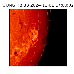 gong - 2024-11-01T17:00:02