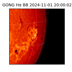 gong - 2024-11-01T20:00:02