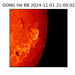 gong - 2024-11-01T21:00:02