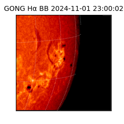 gong - 2024-11-01T23:00:02