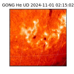 gong - 2024-11-01T02:15:02