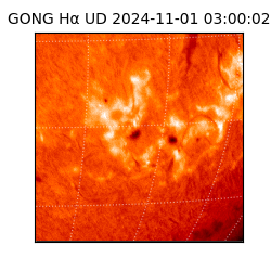 gong - 2024-11-01T03:00:02