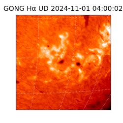 gong - 2024-11-01T04:00:02