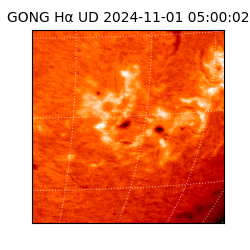 gong - 2024-11-01T05:00:02