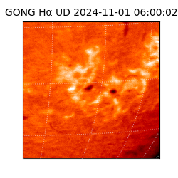 gong - 2024-11-01T06:00:02