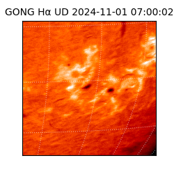 gong - 2024-11-01T07:00:02