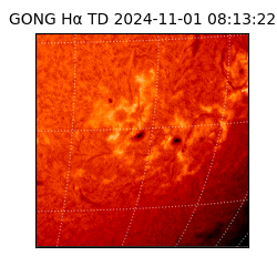 gong - 2024-11-01T08:13:22