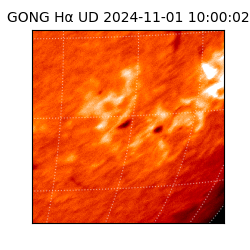 gong - 2024-11-01T10:00:02