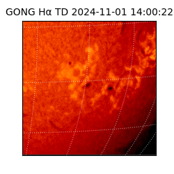 gong - 2024-11-01T14:00:22