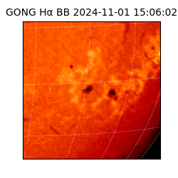 gong - 2024-11-01T15:06:02