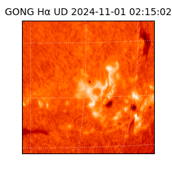 gong - 2024-11-01T02:15:02