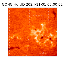 gong - 2024-11-01T05:00:02