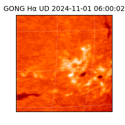 gong - 2024-11-01T06:00:02