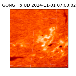 gong - 2024-11-01T07:00:02