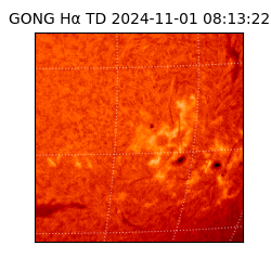 gong - 2024-11-01T08:13:22