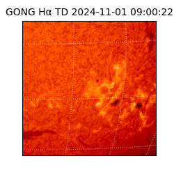 gong - 2024-11-01T09:00:22