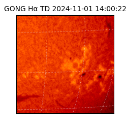 gong - 2024-11-01T14:00:22