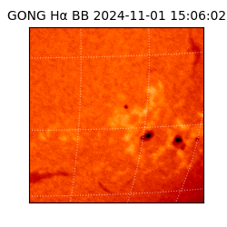 gong - 2024-11-01T15:06:02