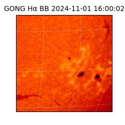 gong - 2024-11-01T16:00:02