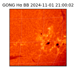 gong - 2024-11-01T21:00:02