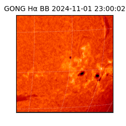 gong - 2024-11-01T23:00:02