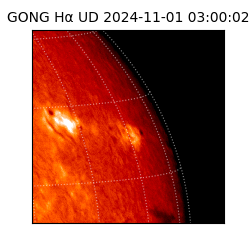 gong - 2024-11-01T03:00:02