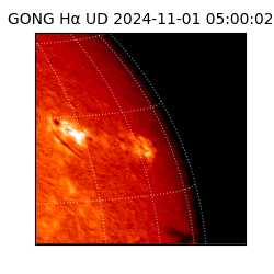 gong - 2024-11-01T05:00:02