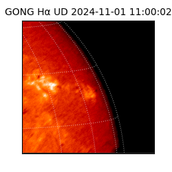 gong - 2024-11-01T11:00:02