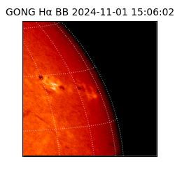 gong - 2024-11-01T15:06:02