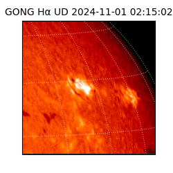 gong - 2024-11-01T02:15:02