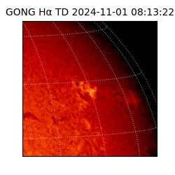 gong - 2024-11-01T08:13:22