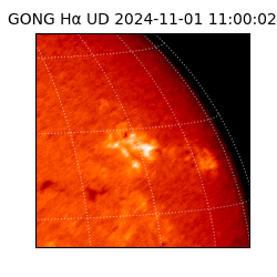gong - 2024-11-01T11:00:02