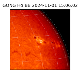 gong - 2024-11-01T15:06:02