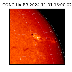 gong - 2024-11-01T16:00:02