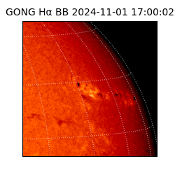 gong - 2024-11-01T17:00:02