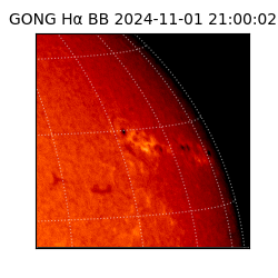 gong - 2024-11-01T21:00:02