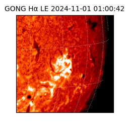 gong - 2024-11-01T01:00:42