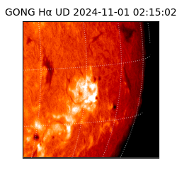 gong - 2024-11-01T02:15:02