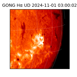 gong - 2024-11-01T03:00:02