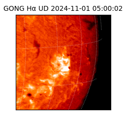 gong - 2024-11-01T05:00:02