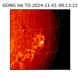 gong - 2024-11-01T08:13:22