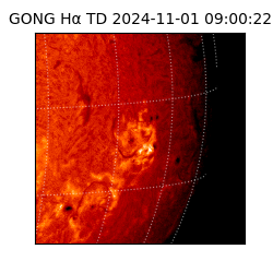 gong - 2024-11-01T09:00:22